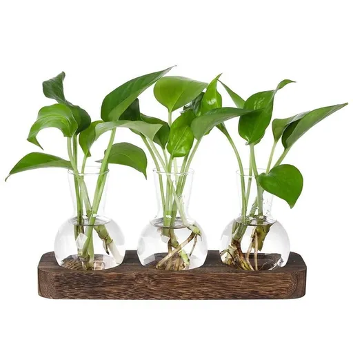 Plants Propagation Stations Glass Vase Station Retro Plant Terrarium with Wooden Tray Bulb Flower Home Decor