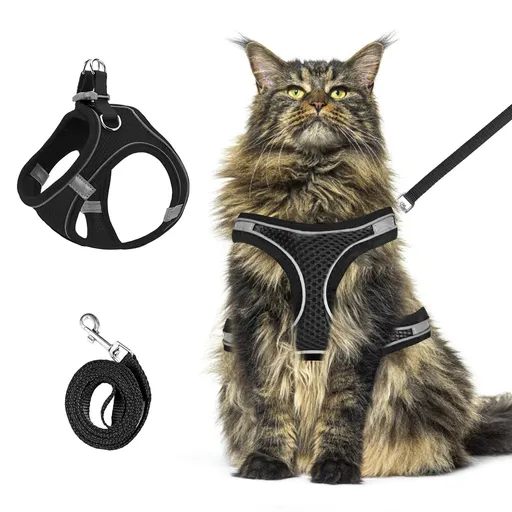 cat Walking Chest Carrier and Leash, Anti-Escape, Lightweight and Soft Adjustable Chest Carrier and Leash with Reflective Design