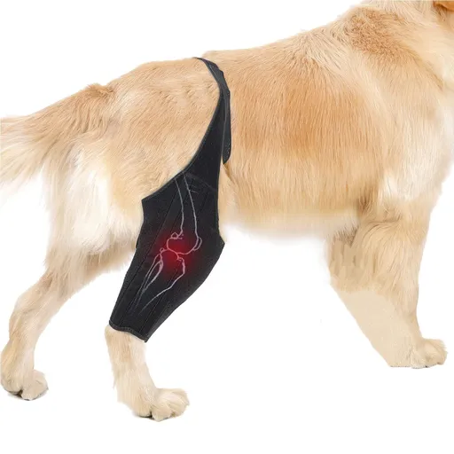 Dog Knee Brace for Support with Cruciate Ligament Injury, Adjustable Dog Leg Brace Protects Wounds for Dogs_L