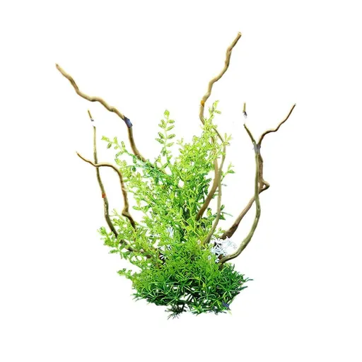 Aquarium Landscaping Decoration Artificial Wood and Plants Fish Tank Ornament - CM3901-Green