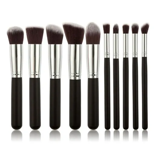 10pcs Professional Makeup Brushes Set, Silver Black