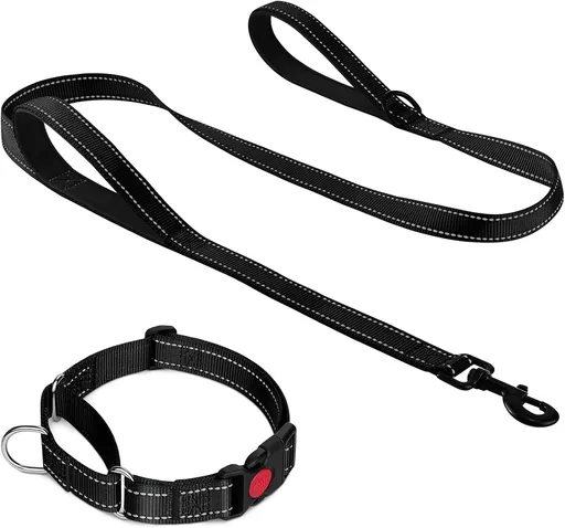 Martingale Dog Collar(12.5-16''), 6FT Double Handle Leash for Training, Black -