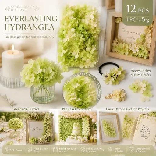 Pale Green Champagne Preserved Hydrangea Resin Making Bulk Supply Pack 12