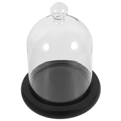Glass Dome Display Cover for Preserved Flowers, Clear High Borosilicate Glass with Wooden Base, Decorative Floral Showcase