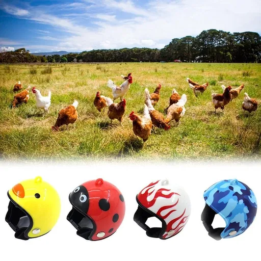 4 Pcs- Chicken Helmet Plastic Bird Head Protection Cap Chick Pecking Helmet Funny Protection Hen Hat