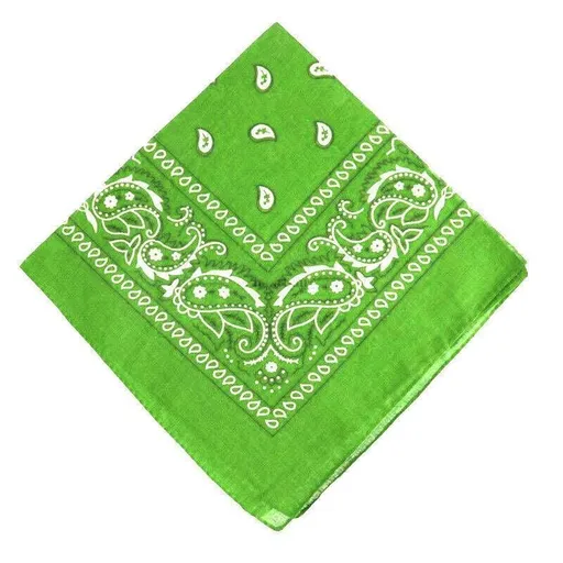Paisley Bandana Scarf Head Wrap Face Neck Cover Summer Outdoor Fishing Headwear - Green