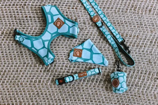 Dog Accessories Bundle Packaged