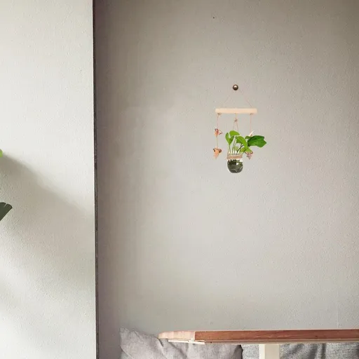 Home Wall Planter Hydroponic Planter Multi Glass 1Pcs
