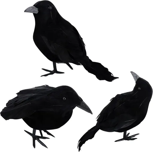 Crow - 3-piece - Halloween - Halloween Decoration - Pigeon Repeller Crow - Scarecrow - Halloween crows - artificial feathered crows - realistic raven birds decorations - party Prop - for indoors / outdoors / festivals / parties / Halloween