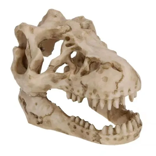 Aquarium Decoration Small Resin Dinosaur Skull Skeleton Fish Tank Aquarium Aquarium Cave Pet Reptile House Decoration