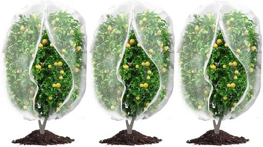 3Pcs Plant Covers from Insects, Bird Netting Barrier for Blueberry Bushes with Drawstring Zipper Mesh Garden Fruit Tree Bags Plants Net Cage Protect Tomato Vegetable Citrus, 3.3×5Ft - 3.3×5Ft/ 3pcs/