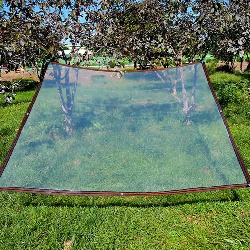 Clear Plastic Tarp, Waterproof Plastic Tarp Cover Heavy Duty, Transparent Rainproof Tarp with 8 Grommets, Tarp Cover Suitable for Garden Patio Plants Balcony Greenhouse or Barn, 3.28x6.56ft