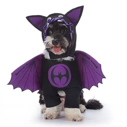 Celebration Decor Outfit For Cats and Dogs, Holiday Worn Accessory for Halloween Christmas Indoor Parties, Size XL