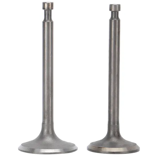 Intake Exhaust Valves Motor Replacement Part Accessory Fit for 188F/GX390 Generator