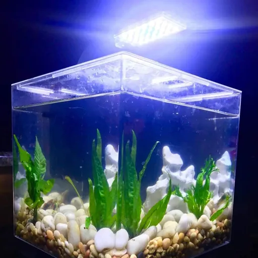 Aquarium Clip-on led Light, Fish Tank Light with White and Blue LEDs, Small LED Aquarium Light for Freshwater Tank