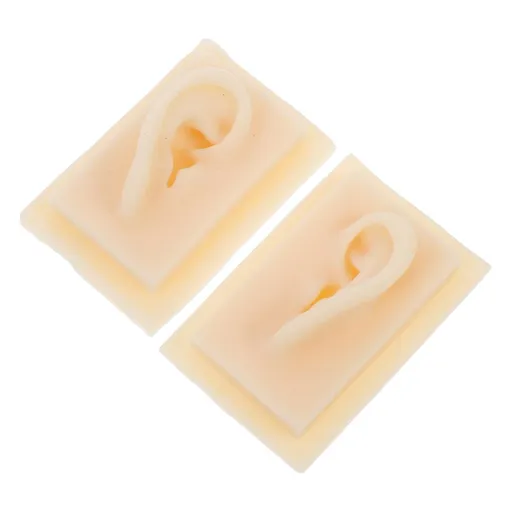 1 Pair Ear Model Manikin Ear Display Sample Display Tools for Ear Anatomy Model Portable Blender Science Teaching Tools Silicone