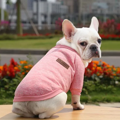 Pet Sweatshirt for Dogs and Cats by shine New Size Classic Sweat Pink M (chest circumference 40 back length 30cm)