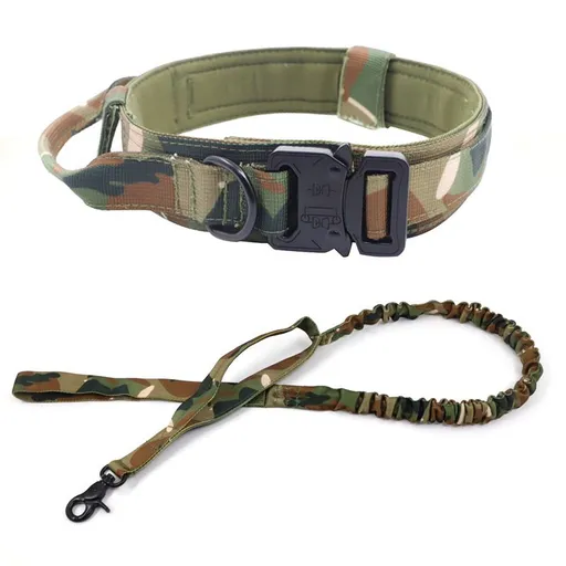 Nylon Dog Collar Training Buckle 3.8cm Fan color suit XL code (50-62cm)