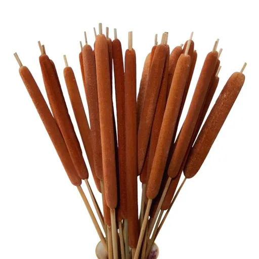 15Pcs Dried Natural Brown Cattails Flowers - 16" Real Broadleaf Pencil Cattail Stems Bundles, Bulrush Plants Dry Flower for DIY Floral Arrangements, Wedding Home Office Gardens Decor