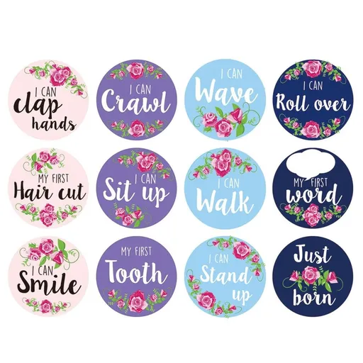 Lovely Blossom Baby Monthly Mile stone Stickers for Baby Shower Gifts Registry First Year Newborn Photography 12 Sheets