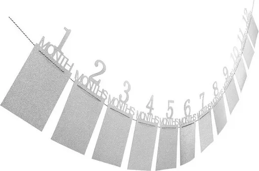1-12 Month Baby Milestone Photo Garland, First-Year Picture Display Banner, Silver