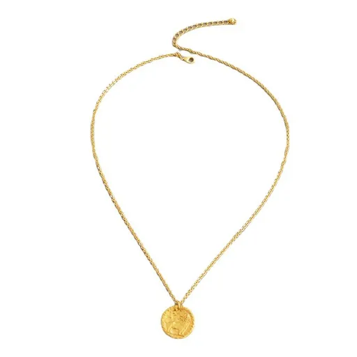 Stainless Steel Animal Lion Coin Disc Pendant Necklace Diamond Galaxy Fashion Necklace, Relief Brave Lion Coin Round Necklace