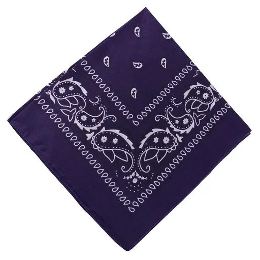 22 inch Cotton Paisley Bandana Multi Colored Set Cowboy Bandana Head Scarf Double-sided for Men & Women Multicolor