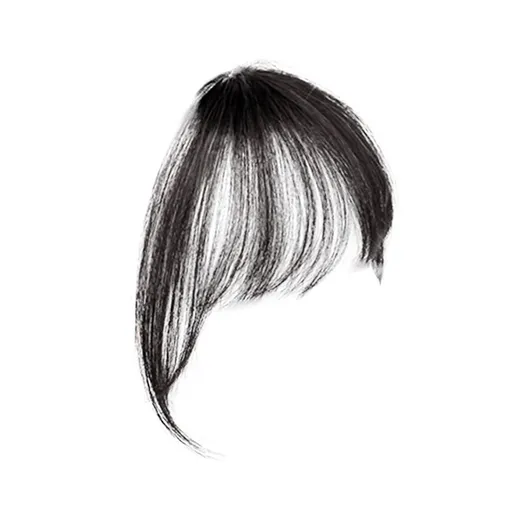Clip in Bangs, Fake Bangs Hair Clip on Bang for Women, Natural Wispy Bang Fringe with Temples Hairpieces Extensions for Daily Wear