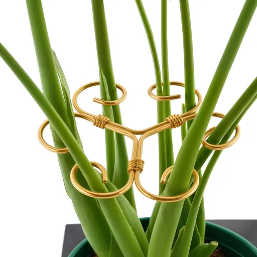 10.5cm x 10.5cm Gold Plant Stem Supports 4 Pack - Indoor Plant Stakes for Tall Plants, Monstera - Plant Anchoring Hooks for Indoor Gardens