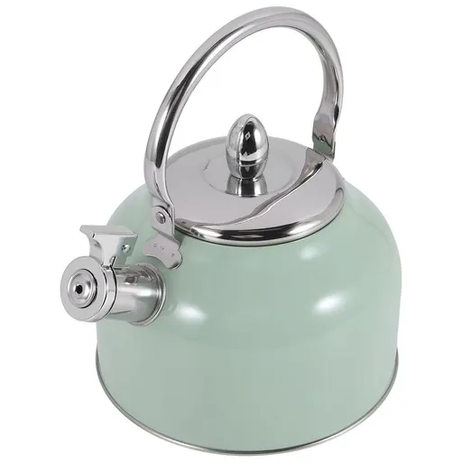 Stylish Kettle, Stainless Steel Green, 19.5x17 Cm