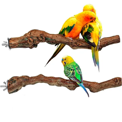 Natural Wooden Bird Perch Rack 25cm for Small to Medium Birds in Grape Vine Wood
