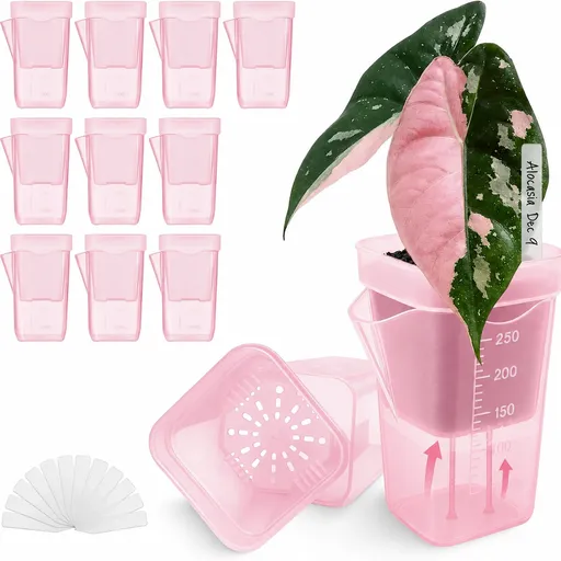 Semi-Transparent Pink Square Self-Watering Propagation Pot for Desktop Succulents, Seedlings, and Miniature Houseplants with Dry-Wet Separation System (2.5", 4PCS)