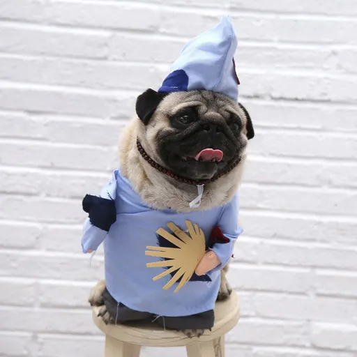 Pet Monk Costume Funny Jigong Standing Dress Polyester