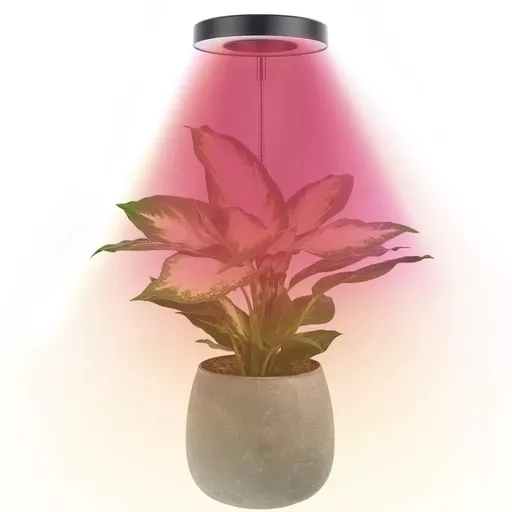 Angel Halo Ring LED Plant Grow Light, Full Spectrum Warm White & Red Blue for Succulents, Flowers, Adjustable Height and Angle, USB Powered Stake Lamp for Indoor Potted Plants (3PCS, Red Blue Warm Light (Black))