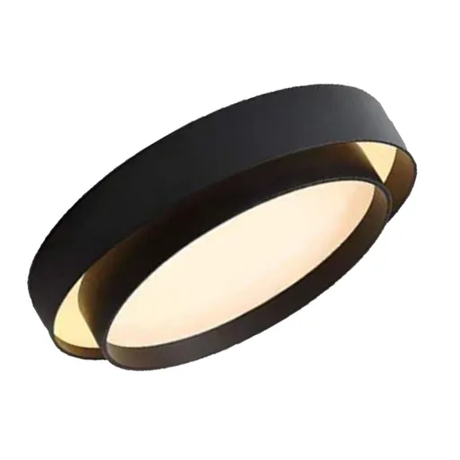Round Flush Mount Light Doubel Ring Style Warm Lighting Ceiling Hallway Ceiling Light Fixture Eye Friendly Indoor Lamp Black