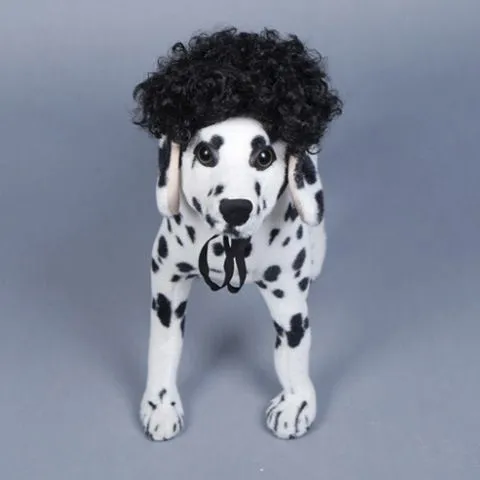 FUN OF PETS Pet Wig Short Curly Hair Black