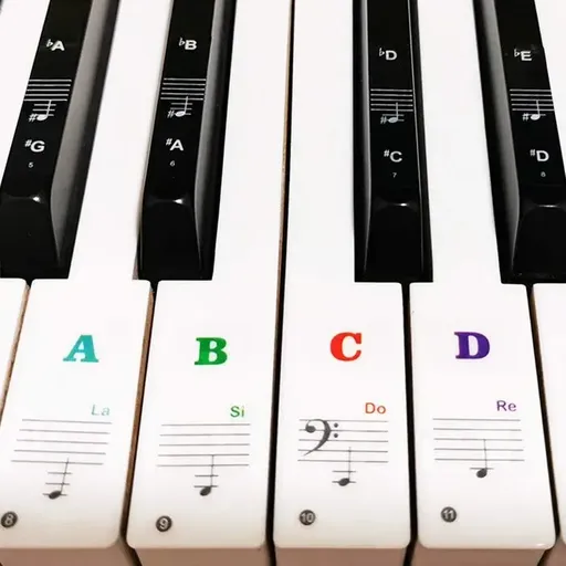 Transparent Removable Piano Keyboard Note Stickers, Multicolor, 37 to 88 Keys