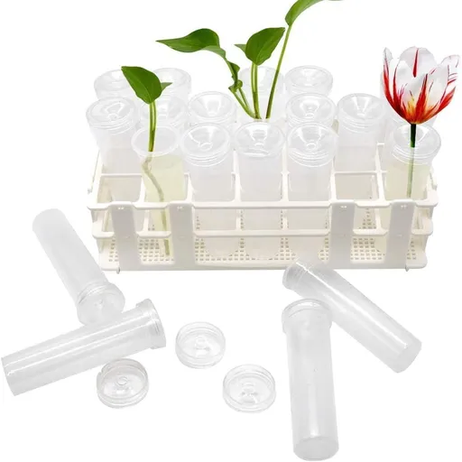 21 Pack 60ml Large Floral Tubes with Rack Holder for Milkweed Cuttings, Raising Caterpillars, Monarchs, Butterflies, Flower Arrangements