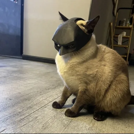 3D printed Black Batman Hood for Kittens Small