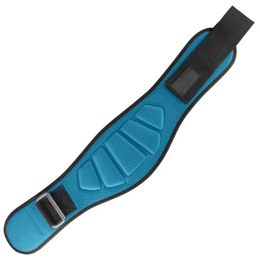 Adjustable Weightlifting Belt, EVA Nylon Lumbar Support Belt for Powerlifting, Bodybuilding, Gym Fitness and Strength Training - Blue L
