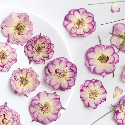 Large Purple Dried Pressed Flower for Resin, Big Real Nature Pressing Floral Leaves for DIY Craft, Candle Scrapbooking Supplies
