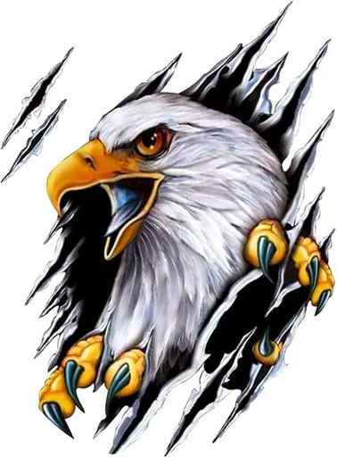 Car sticker - Eagle sticker - 2 pieces - 18*24 cm - Sports car stickers - UV and waterproof - adhesive stickers - Sports car stickers - Laptop stickers - animal sticker - for body hood home decoration creative car sticker - One left and one right