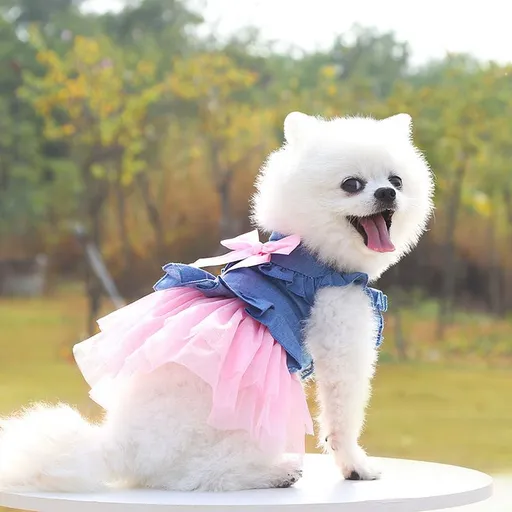 Shine Dog Cat Denim Skirt Princess Style Powder Yarn-Korean Denim Skirt XS (bust 30CM recommended weight 1.00 kg-1.50 kg