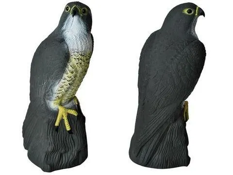 Scarecrow Eagle - Scares away Birds