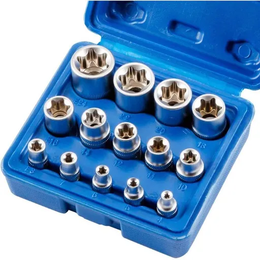 14 Piece E Torx Socket Set, E4 to E24 Hex Female Torx Wrench Socket and Bit