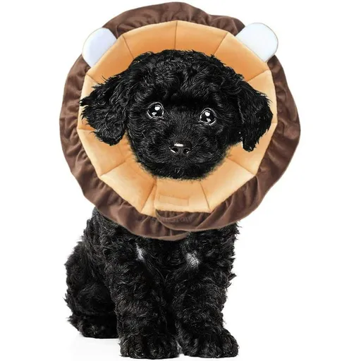 Recovery Collar Pet Cat Cone Cute Lion Cone for Cats Comfortable Dog Neck Cone Lightweight Adjustable Protective Cone for Puppy Cat Kitten Prevent Licking Wounds