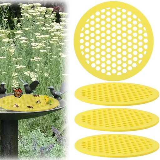4 Pcs Distributeur of Water for Abeilles Ile Flottante Aux Abeilles Plateau for Station of Abreuvement of Abeilles