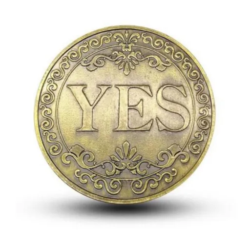 Decision Maker Coin, Yes No Coin, Lucky Coin, Choice Coin, Flipping Challenge Coin, Souvenir Metal Coin for Collectors (Bronze)