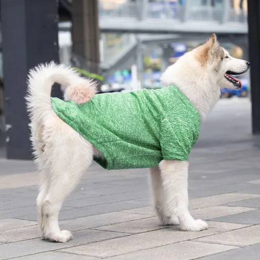 shine Pet Clothing Dog Cat Sweater Cloth Big dog wool sweater Green XS (chest circumference 27CM recommended for pets within 0.50 kg-1.00 kg)