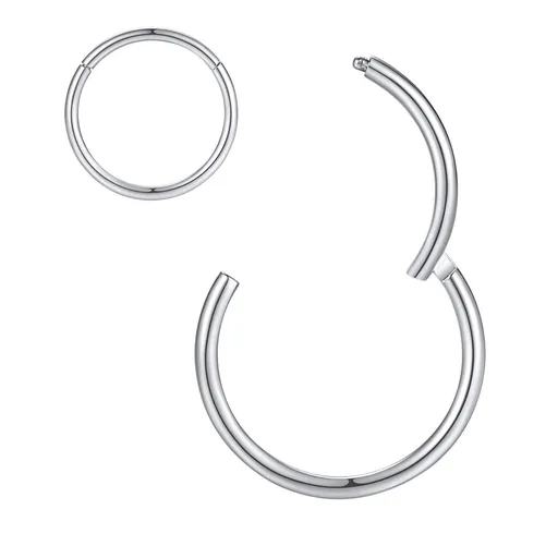 2 PCS Titanium Nose Rings 16G Nose Rings Hoops Septum Clicker Hinged Segment Ring Cartilage Helix Tragus Conch Hoop Earring